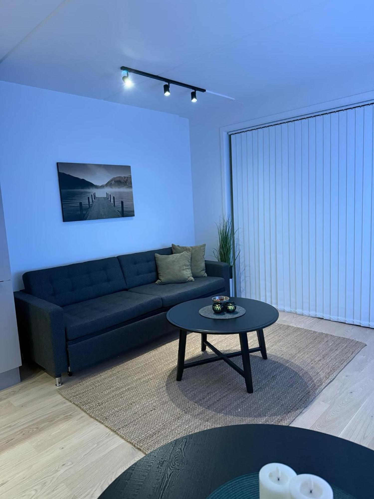 Ny Naer Sentrum Appartement